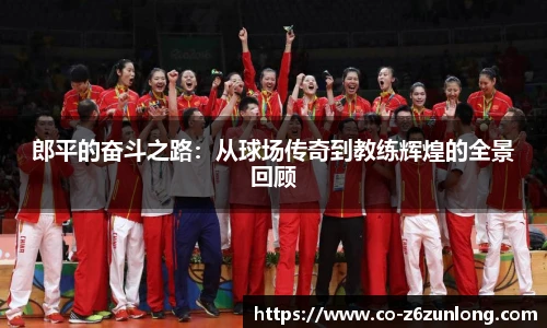 郎平的奋斗之路：从球场传奇到教练辉煌的全景回顾