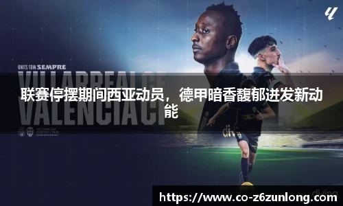 Z6尊龙官方网站官网入口